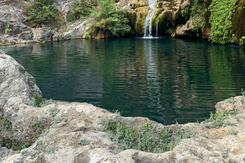 Hike to Hidden Waterfalls – Ayn Ghedh Adventure