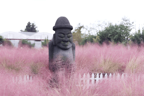 2024 Tour autunnale di Jeju con il Pink Muhly Festival