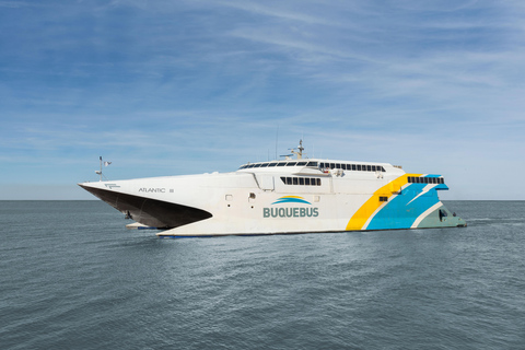 From Buenos Aires: Ferry Day Trip to Colonia del Sacramento