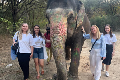 Elefun Bästa elefantreservatet i Jaipur