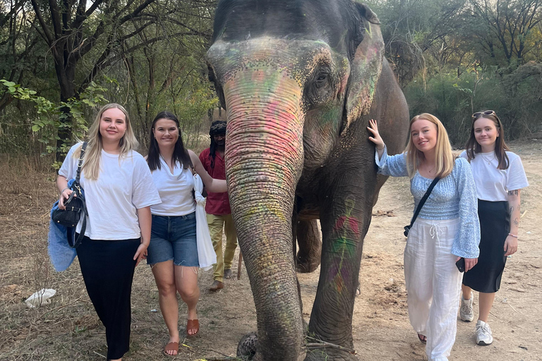 Elefun, il miglior santuario degli elefanti a Jaipur