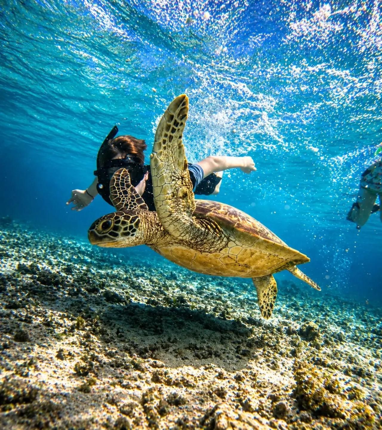 Gili Air: Private/Gemeinschafts-Schnorcheltour mit Schildkröten