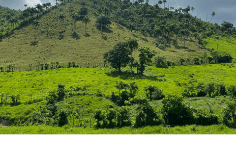 Higuey discovery, coffee and cocoa tasting from punta cana