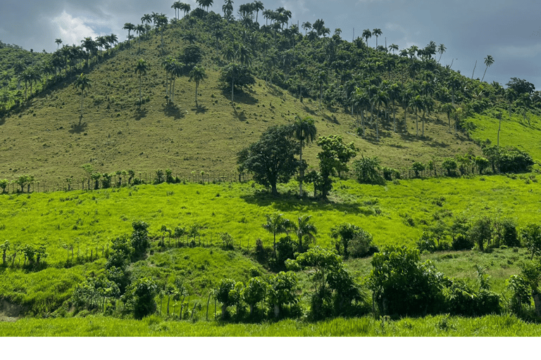 Higuey discovery, coffee and cocoa tasting from punta cana