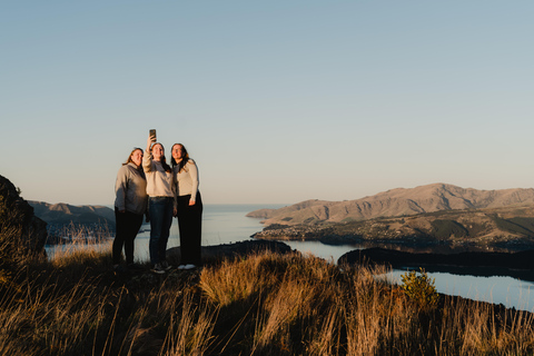 Bay of Islands Tour (Bay Explorer)
