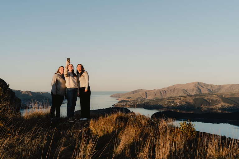 Bay of Islands Tour (Bay Explorer)