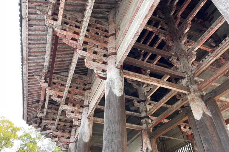 Nara: Halvdag med lokal guide – Big Buddha, hjort, helgedom, skogNara: Halvdag lokal guide- Stora Buddha, hjort, helgedom, skog