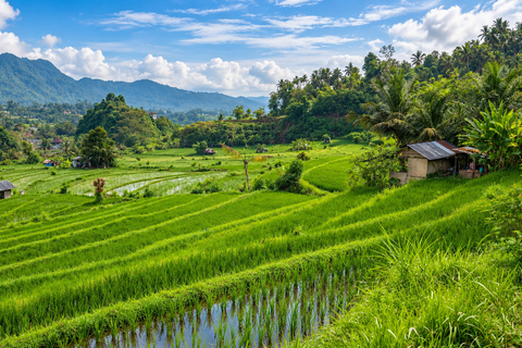 Bali: Besakih Temple, Sidemen & Gembleng Private Day Trip Extended Pick Up Area - All Inclusive