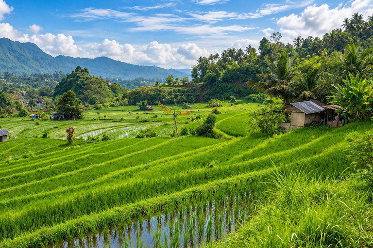 Bali: Besakih Temple, Sidemen & Gembleng Private Day Trip Extended Pick Up Area - All Inclusive