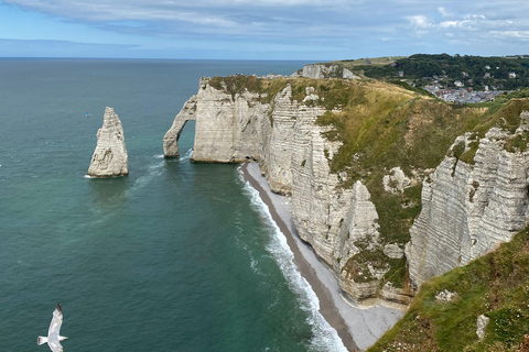 Paris: Normandy D-Day, Omaha Beach & American Cemetery Paris: Normandy D-Day Round-Trip Experience