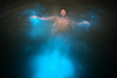 Bob Marley, Blue Hole, Secret Falls and Luminous Lagoon Tour From Montego Bay/ Falmouth/ Trelawny