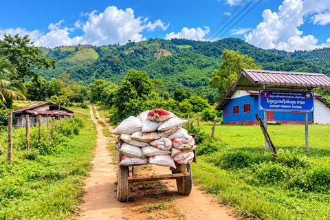 Vang Vieng: Village Brickmaking Workshop & Cooking Class Build a Brick, Build a Future-School Community Experience