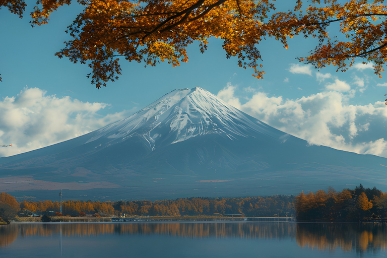From Tokyo: Mt. Fuji Views Private Customize Itinerary Tour
