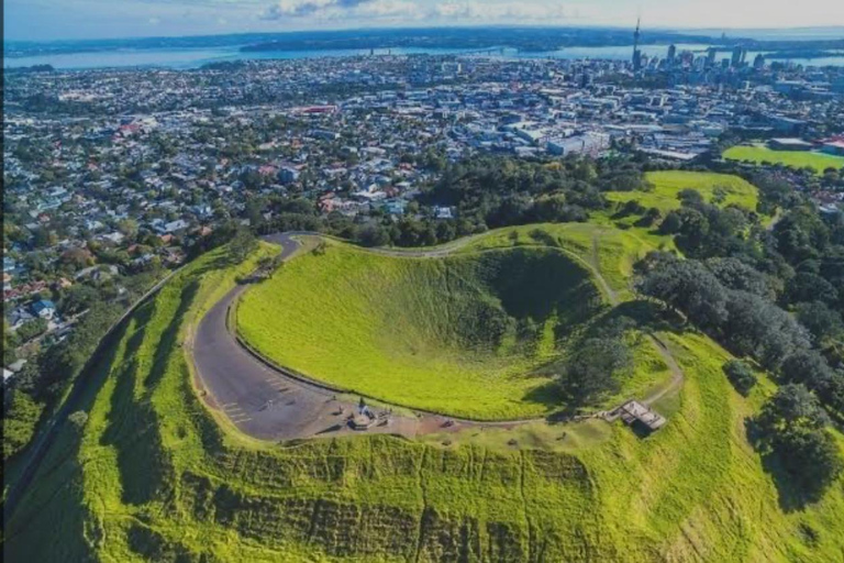 Tour di mezza giornata della città di Auckland e incontro con i kiwi autoctoniTour di mezza giornata alla scoperta della città di Auckland e dei kiwi autoctoni