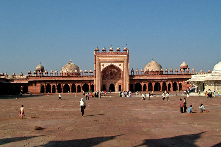 Uit Delhi: Gouden Driehoek met Chand Baori (Step Well)Privétour met driesterrenhotels