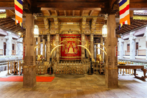 Colombo: Kandy Day Tour, Temple of the Tooth, Tea Factory Kaluthara, Bentota, Ahungalle pick up area