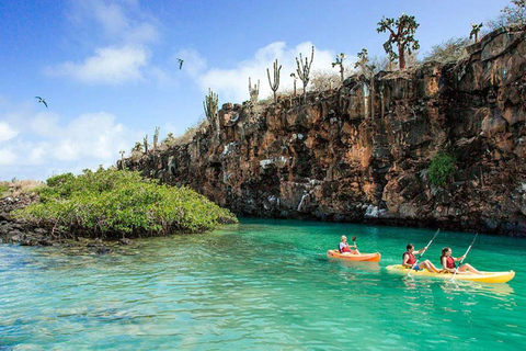 Santa Cruz: Kayaking and Snorkeling Adventure in Academia Bay