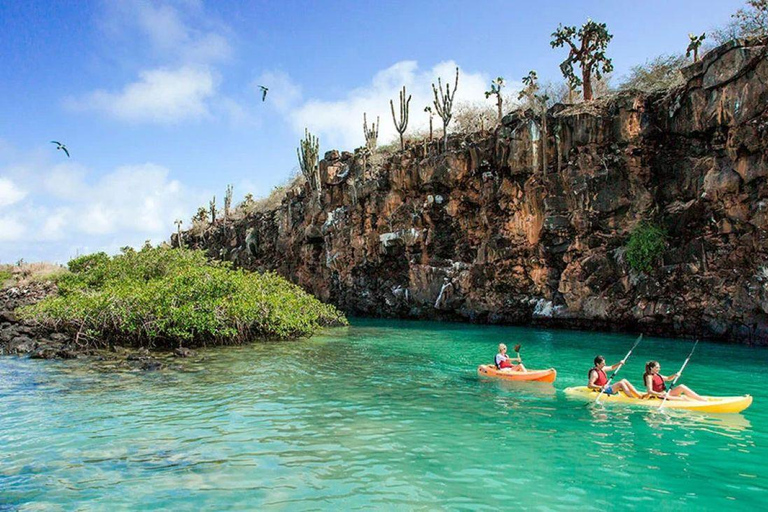 Santa Cruz: Kayaking and Snorkeling Adventure in Academia Bay