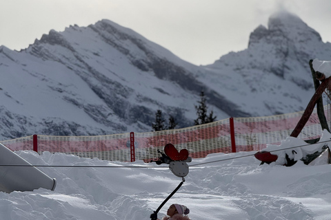 Bern: Schlitten-Tagestour nach Lauterbrunnen und Mürren