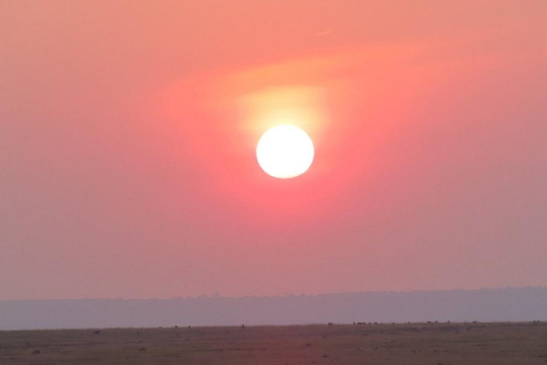 Da Nairobi: escursione al Parco Nazionale del Lago NakuruEscursione al Parco Nazionale del Lago Nakuru senza biglietto d&#039;ingresso