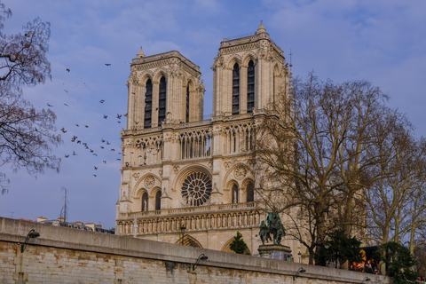 Paris Half-Day: 30+ or 15+ Sights, Eiffel, Montmartre & more Paris: See 30+ Top Sights with a Fun Guide