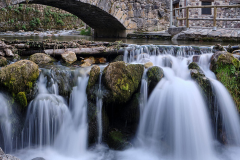 From Oviedo and Gijón: Day Trip to the Somiedo Lakes and the Senda del Oso From Gijón in Spanish: Trip to the Somiedo Lakes and Senda del Oso