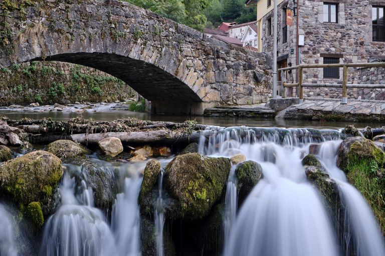 From Oviedo and Gijón: Day Trip to the Somiedo Lakes and the Senda del Oso From Gijón in Spanish: Trip to the Somiedo Lakes and Senda del Oso
