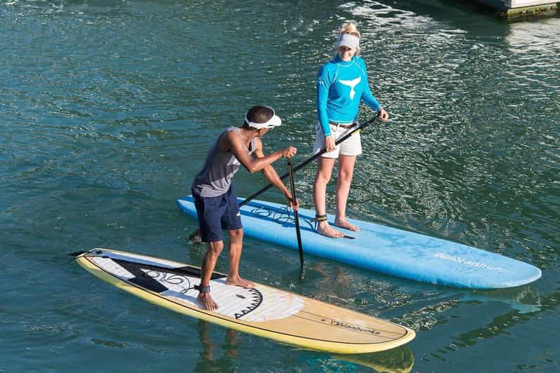Knysna Stand Up Paddle Board Hire GetYourGuide