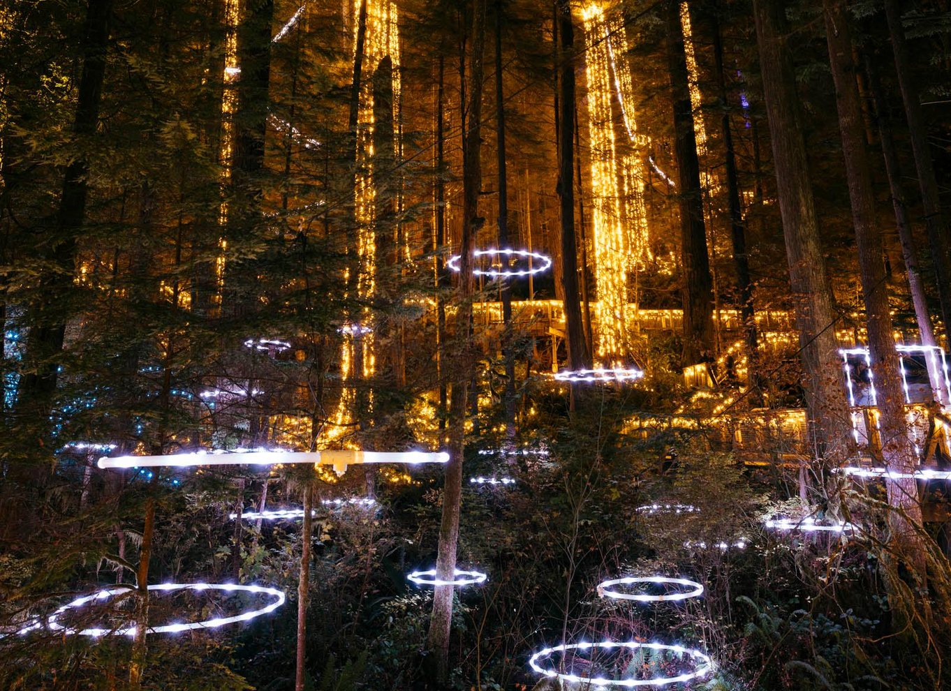 Vancouver: Capilano Suspension Bridge Park billet