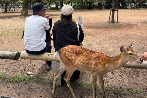 From Tokyo: Super Express One-Day Trip to Kyoto and Nara