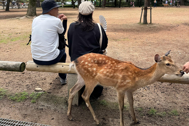 From Tokyo: Super Express One-Day Trip to Kyoto and Nara