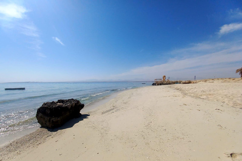 Hurghada: Golfinhos, snorkeling e passeio de iate à ilha de Magawish