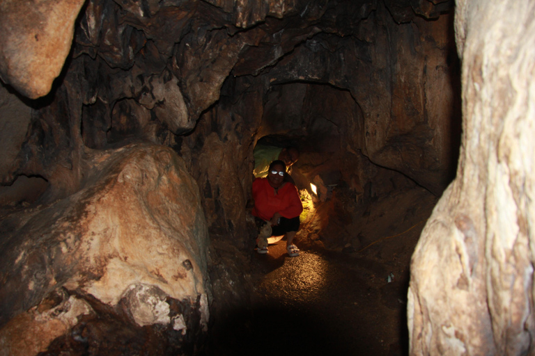 Half Day Hiking to Cat Ba National Park with a Guide