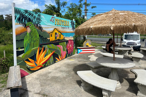 El Yunque Rainforest; Waterslides, Beach, Dine and Shop Tour El Yunque Rainforest Waterslides and Beach Tour