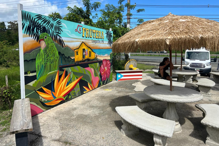 El Yunque Rainforest; Waterslides, Beach, Dine and Shop Tour El Yunque Rainforest Waterslides and Beach Tour