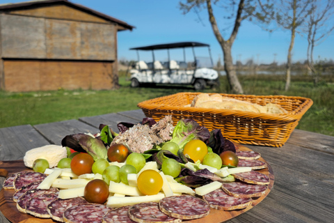 Camargue: Electric Safari with Guide in a private reserve