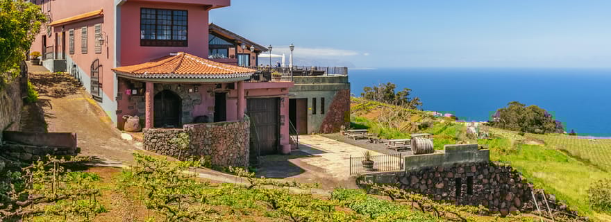 Tacoronte : visite guidée des vignobles avec dégustation de vins et de fromages