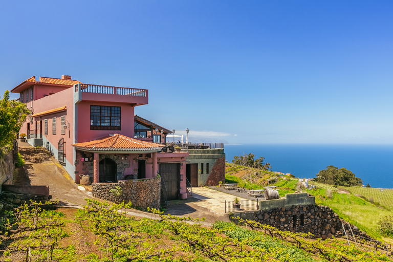 Tacoronte: Visita Guiada a Bodegas con Degustación de Vinos y QuesosTacoronte: tour guiado con cata de vinos y quesos