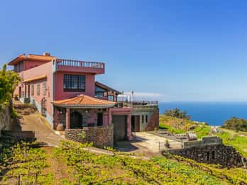 Tacoronte: Visita Guiada a Bodegas con Degustación de Vinos y Quesos