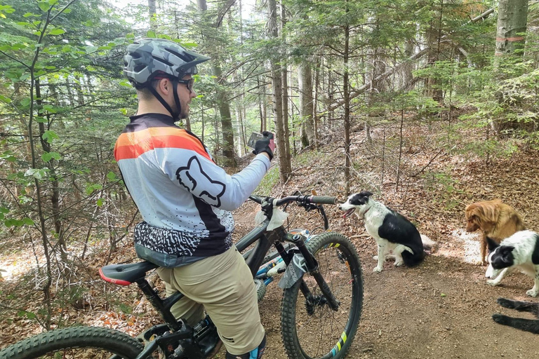 Ride Brașov’s Wild Trails with Daisy & Taste Local Life