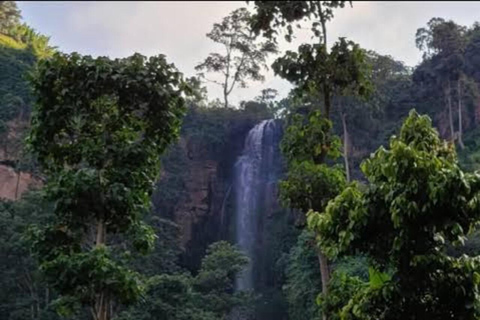 From Addis Ababa: 2-Day Wendo Genet & Hawassa Tour
