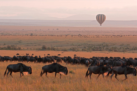 8-DAYS WILDEBEEST MIGRATION RIVER CROSSING AT SERENGETI Guided Tour