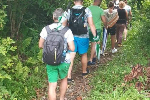 Jozani Forest & Turquoise Waters Turtle Swim at Salaam Cave TOUR WITHOUT HOTEL PICKUP AND DROP OFF