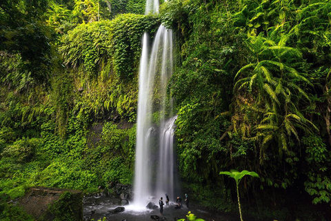 Lombok Private tour : Sendang Gile & Tiu Kelep Waterfall Special Option For Group Tour