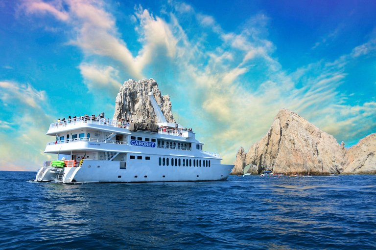 Cabo San Lucas: Whale Watching Tour with Breakfast