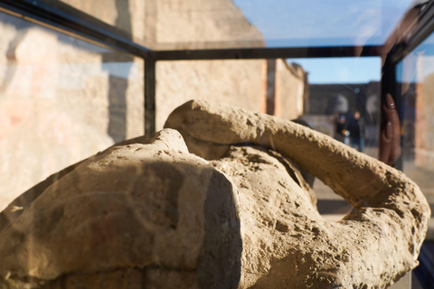 From Sorrento: Pompeii Skip-the-Line, Train Tkt & Tour