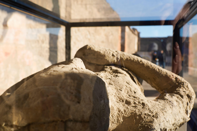 From Sorrento: Pompeii Skip-the-Line, Train Tkt & Tour