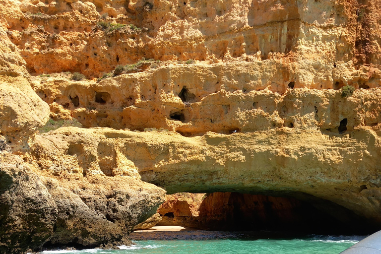 Lisbonne : Circuit sur la côte de l&#039;Algarve avec excursion en bateau vers les grottes