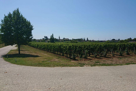 Visite exclusive des châteaux de Saint-Émilion avec dégustationsGroupe privé de 2 à 6 personnes.