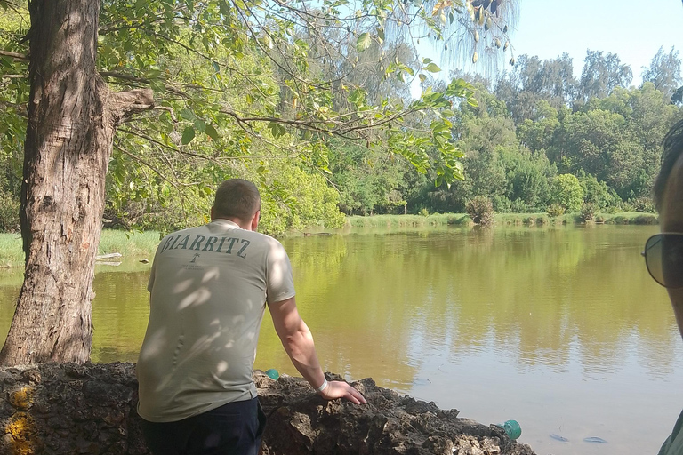 Mombasa: Private City Tour with street food and Haller Park